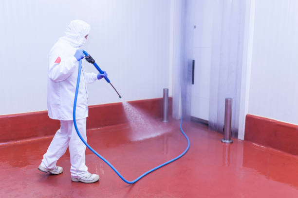 Best Deck and Patio Pressure Washing in Bullard, TX